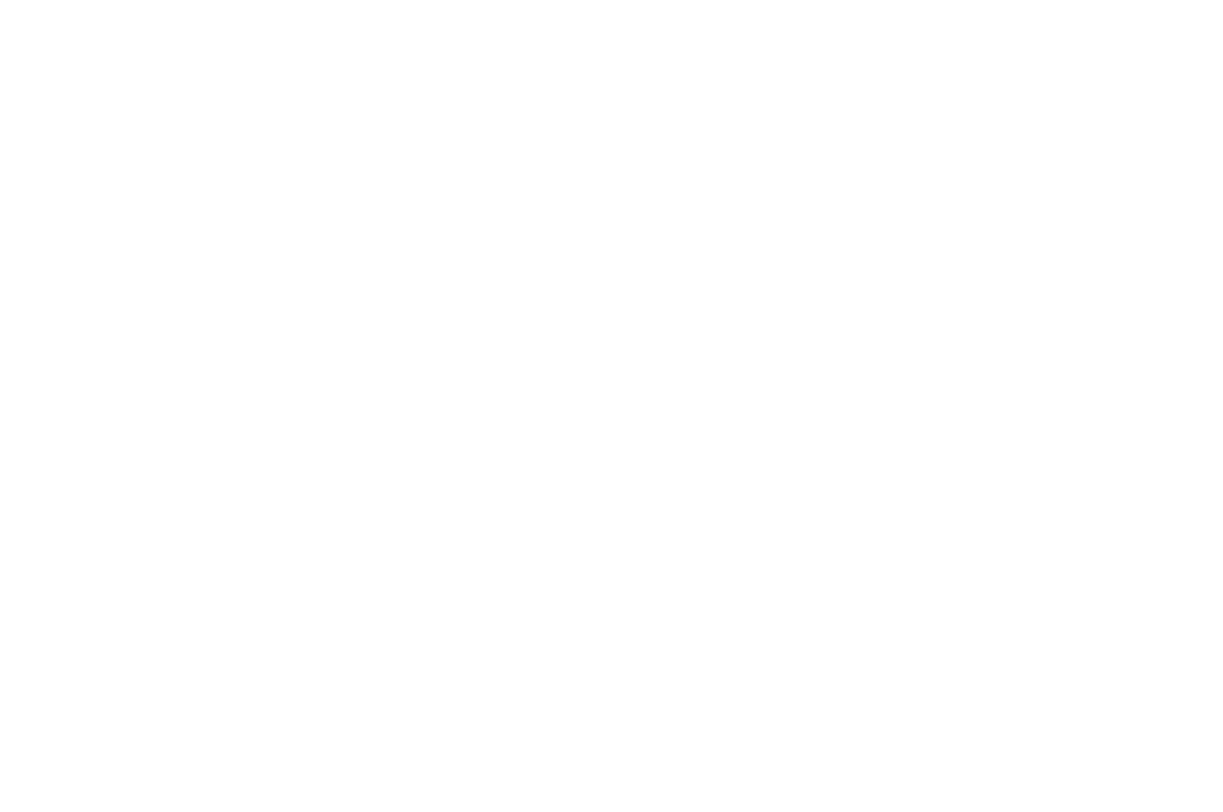 Winner Best Sci-Fi - BRIFF