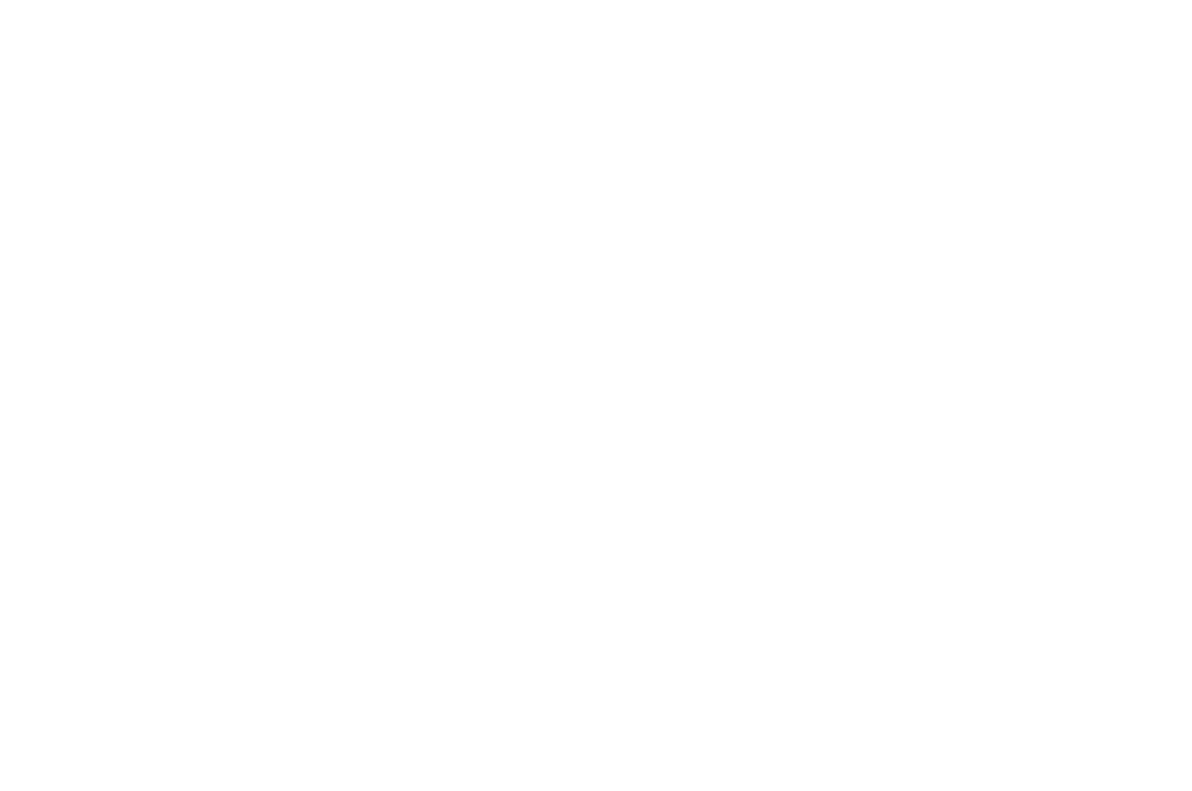 Silver Award Best Editing - LMA