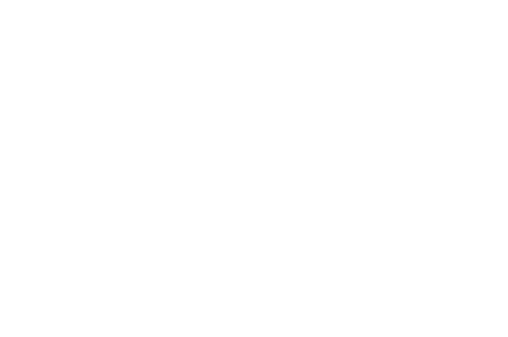 Silver Award Best Sound Design - LMA